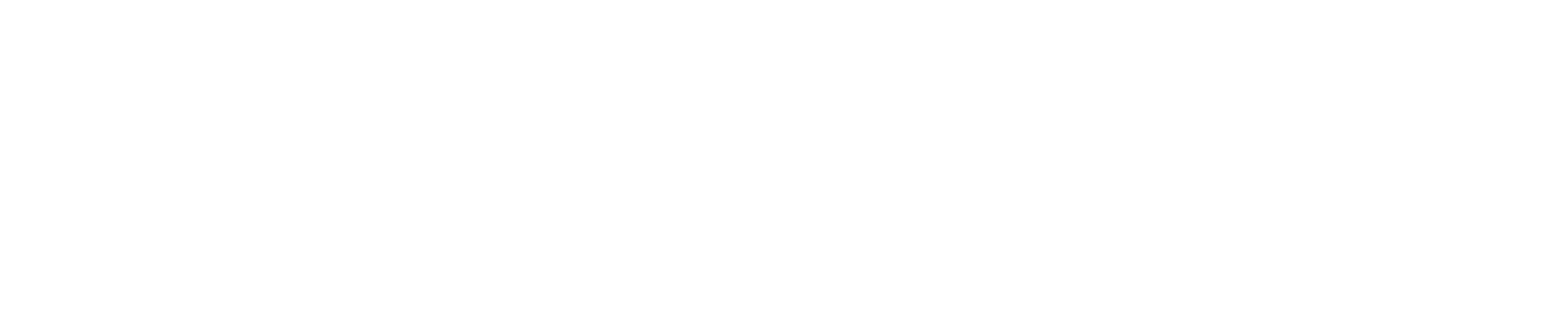 (c) Bass-schuler.com